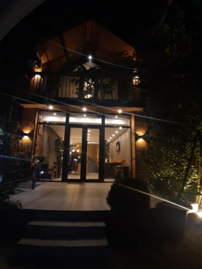 Magical forest House in the center of old City